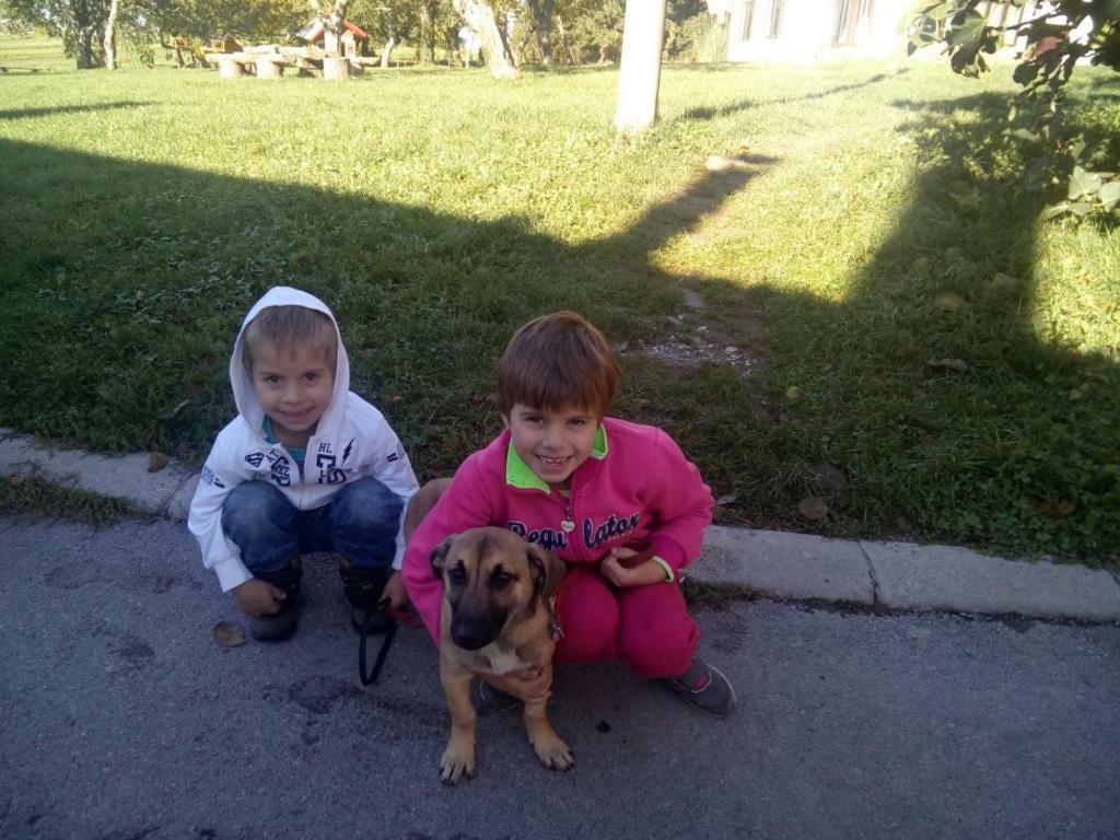 Janezinovi House Guest House Ratecevo Brdo Luaran gambar